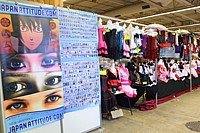 Stand Japan Attitude